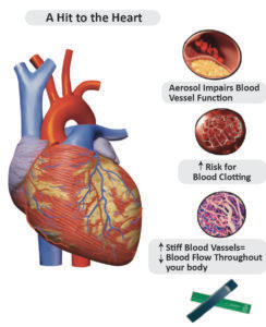 Biology - Extra Study Material_16.1