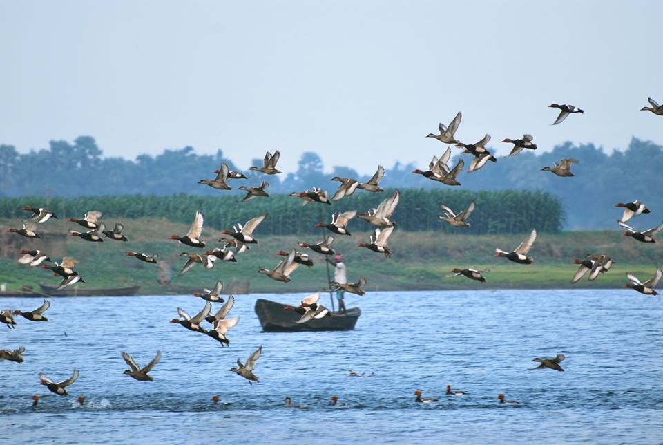 Lakes of Bihar, Detailed List of Lakes of Bihar_12.1