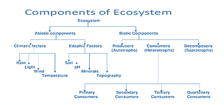 Ecosystem, Meaning, Components, Types and Functions_4.1