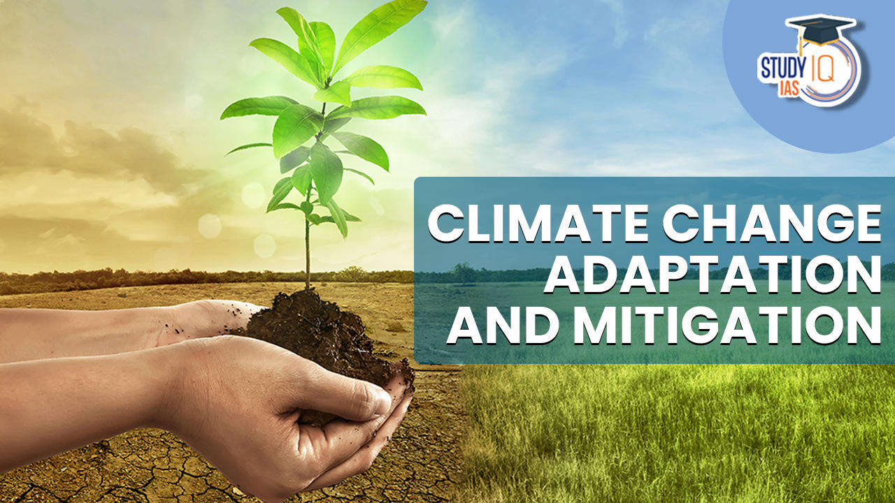 Climate Change Adaptation and Mitigation