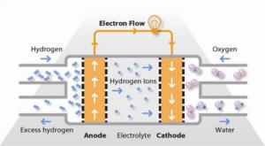 Polymer Electrolyte Membrane Fuel Cell