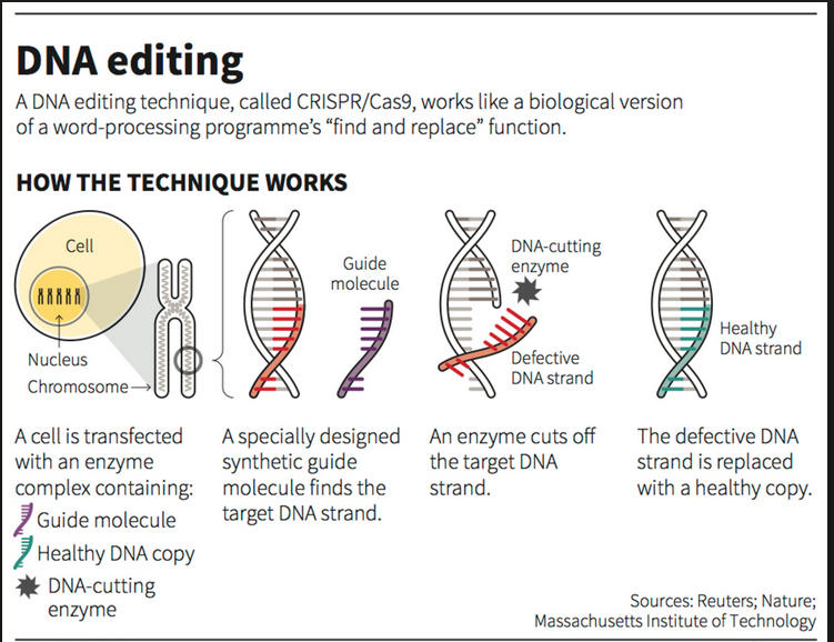CRISPR - Gene Editing