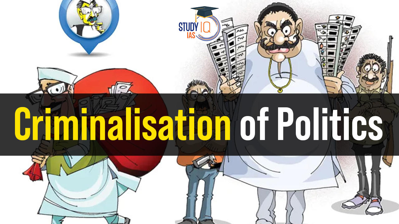 essay on criminalisation of politics