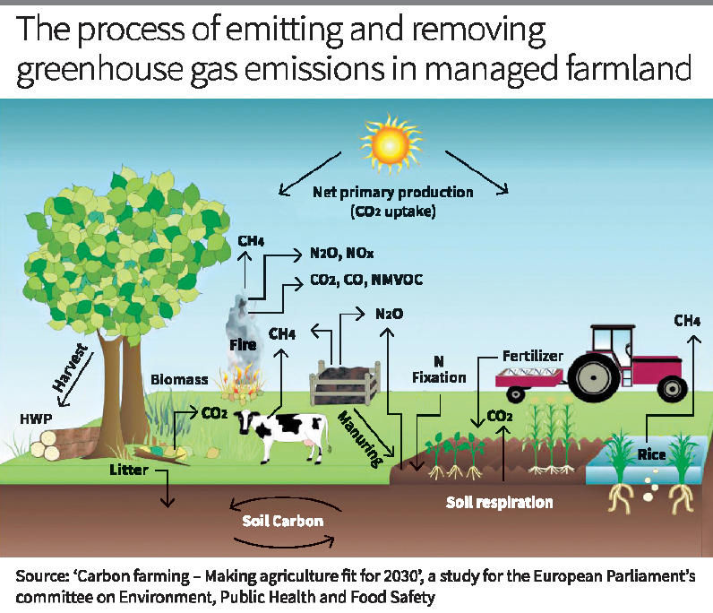 Carbon Farming