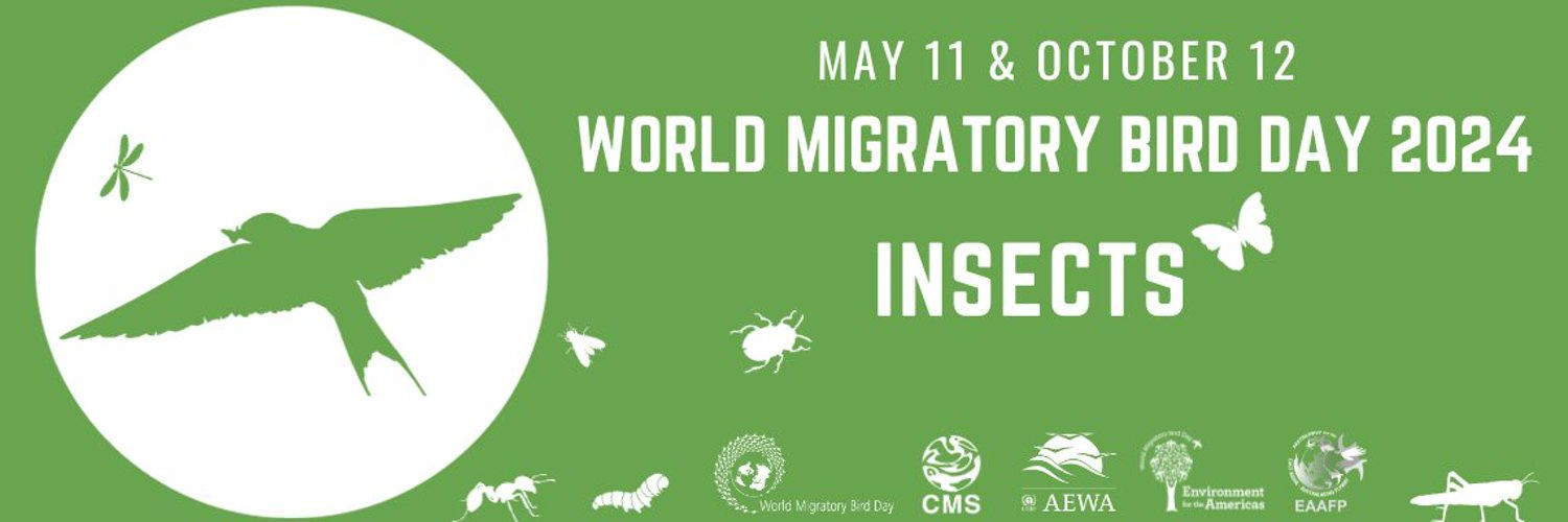 World Migratory Bird Day 2024, Theme, Significance