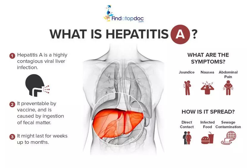 What is Hepatitis A