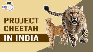 Cheetah Reintroduction Project in India, Challenges and Criticisms