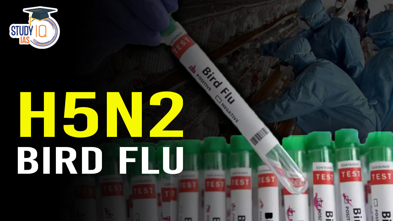 First human death from H5N2 Bird Flu: Reasons and Diagnosis