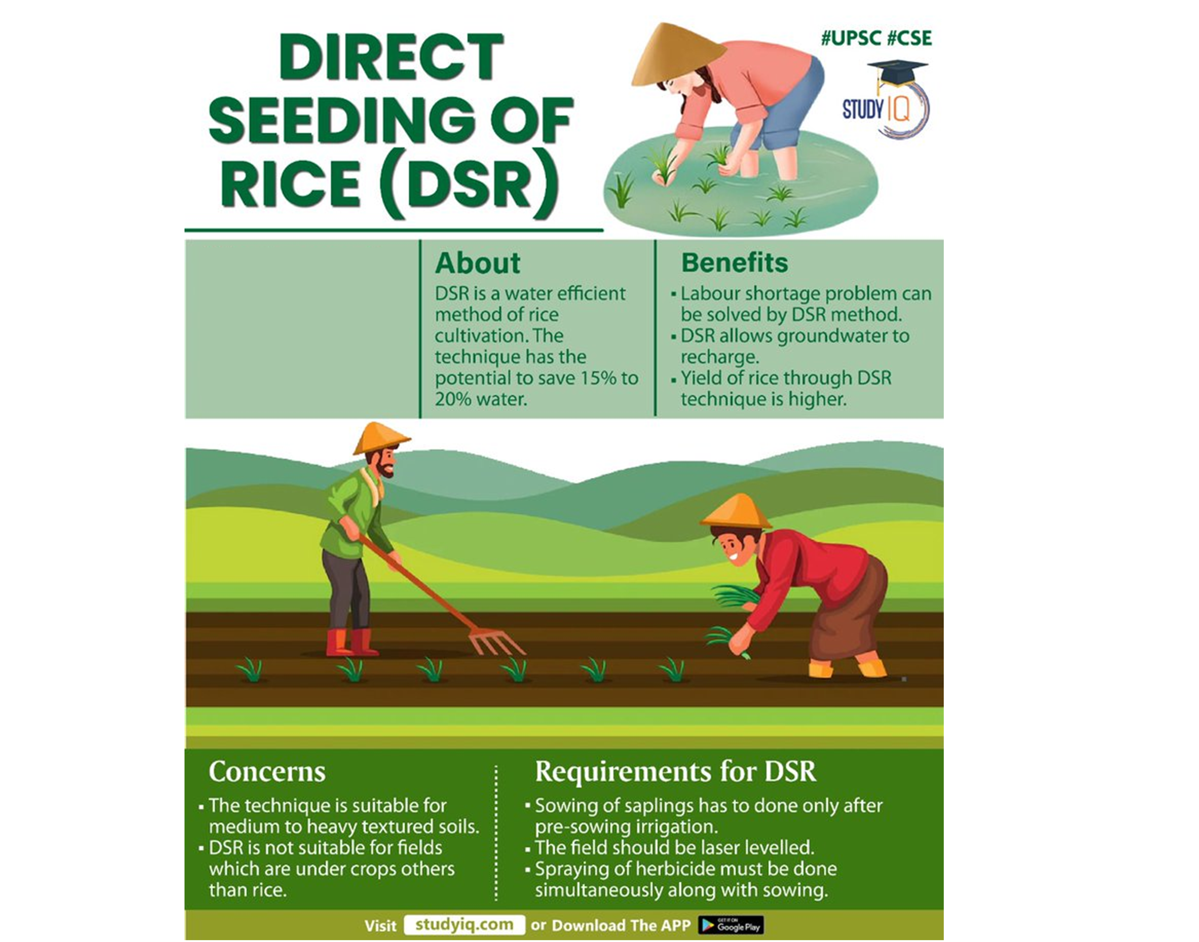 Direct Seeding of Rice (DSR) Technique, Concerns, Requirements_4.1