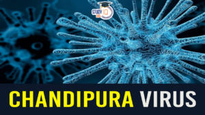 Chandipura Virus, Symptoms, Diagnosis and Treatment