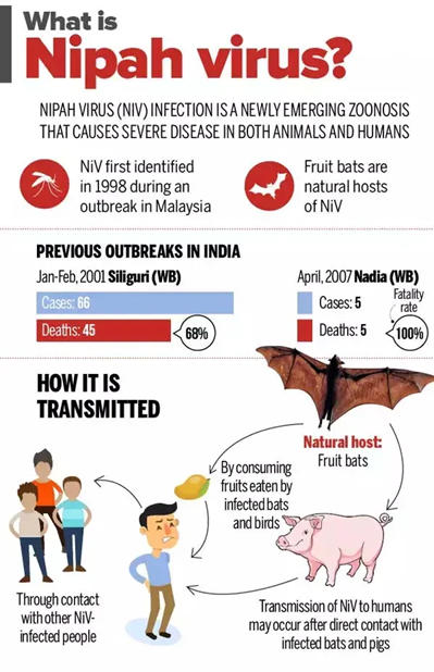 Nipah Virus In India, Recent Outbreak in Kerala_4.1