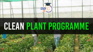 Cabinet approves the Clean Plant Programme (CPP)