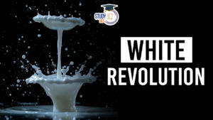 White Revolution & White Revolution 2.0, Transforming India’s Dairy Sector