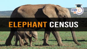 Elephant Census, Key Findings of Status of Elephant in India 2022-23 Report