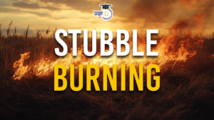 Stubble Burning, Causes and Impact