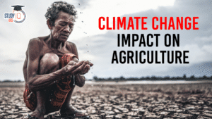 Climate Change Impact on Agriculture