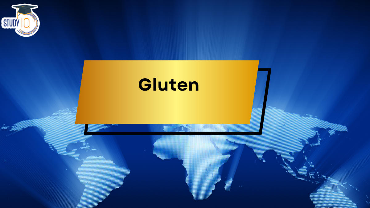 gluten