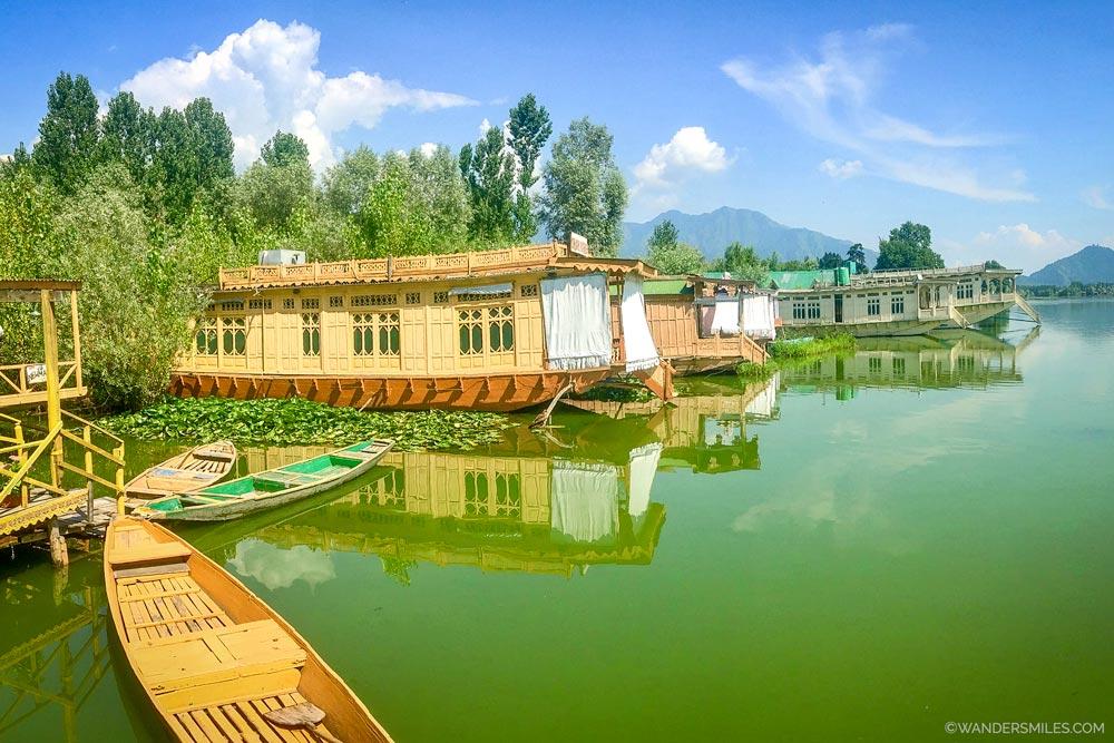 5 things to do in Srinagar in 36 hours | Kashmir | She Wanders Miles